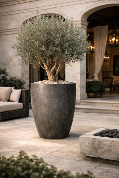 Forte Planter