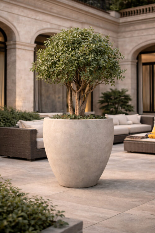 tortellini planter